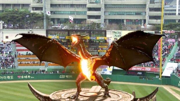 فیلمی از حضور اژدها در ورزشگاهی در کره جنوبی!