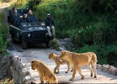مشارکت در پارک های حیات وحش آفریقای جنوبی