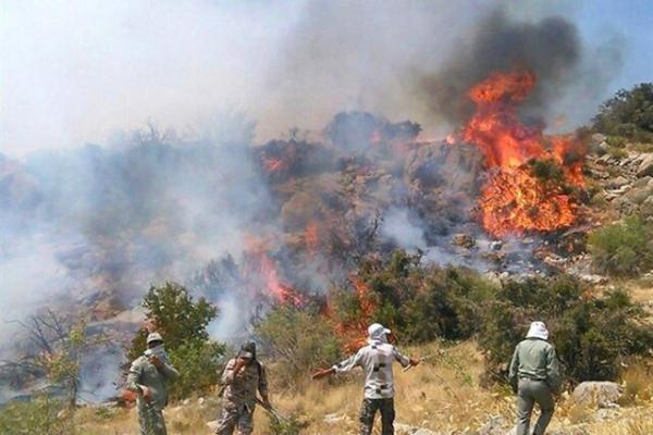 آتش سوزی عرصه های طبیعی یک تهدید دائمی در کشور است