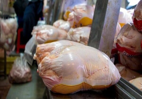 عرضه مرغ در بازار بیش از احتیاج کشور، قیمت مرغ گرم کاهش یافت؟