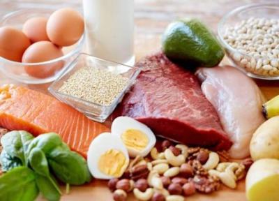 برترین مواد غذایی پروتئین دار
