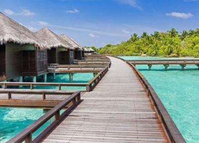 پنج نکته کاربردی که باید درباره مالدیو بدانید
